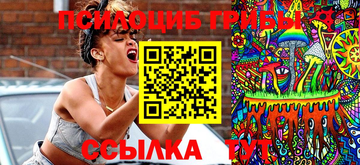 сколько стоит  Галлюциногенные грибы Psilocybine cubensis  Вход с VPN  Хасавюрт 